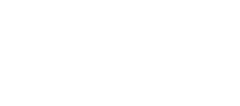 Berlin Institut für Partizipation | bipar